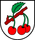 120px-Nuglar-StPantaleon-blason