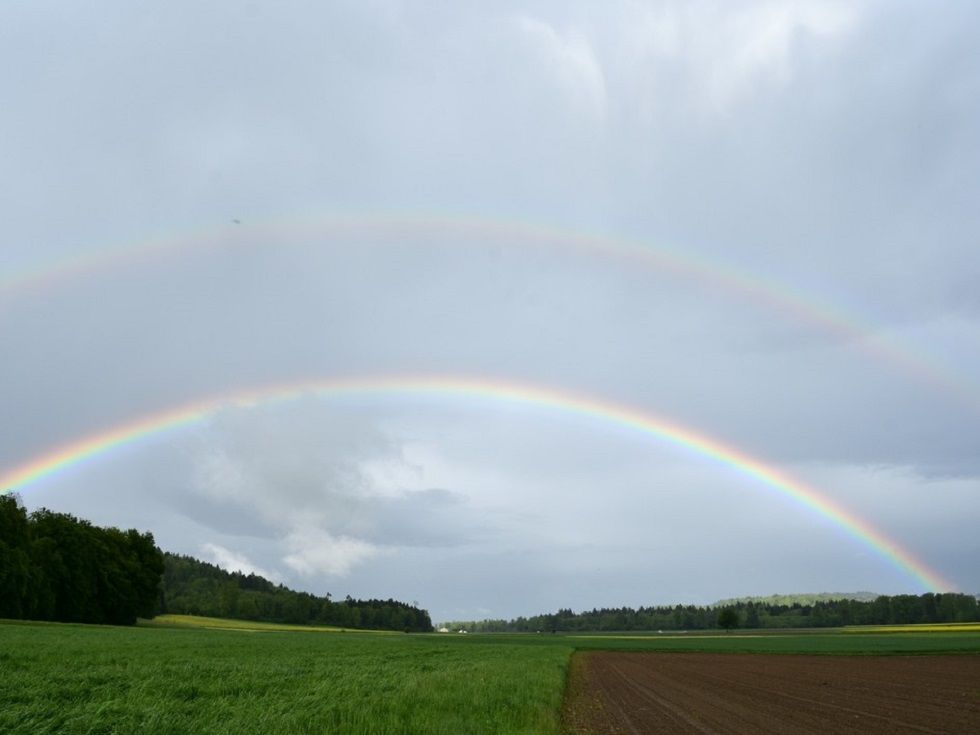 moeriken_ag