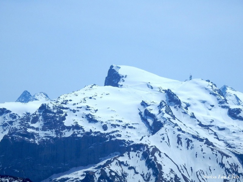 DSCN3612