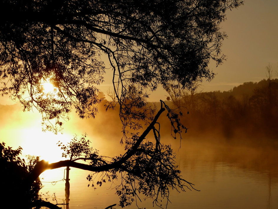 wohlensee_be_11