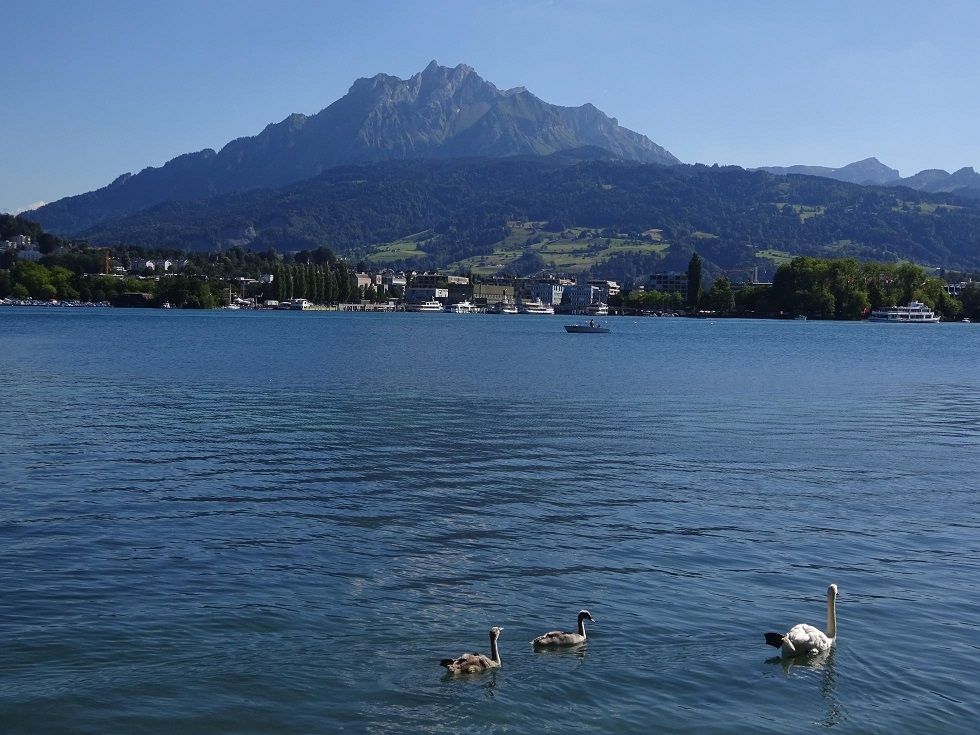 Pilatus