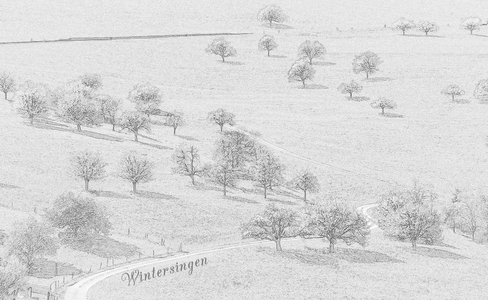 Wintersingen_BL_sketch