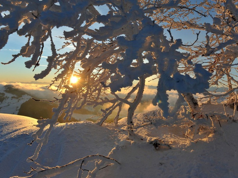 18_januar_s12