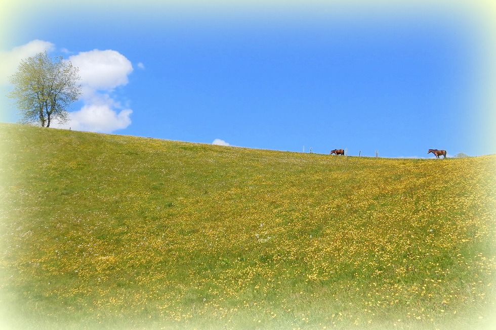 emmental_2