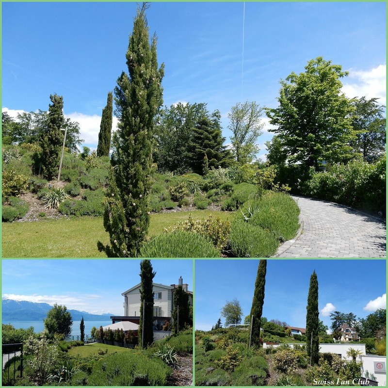 garten2-s