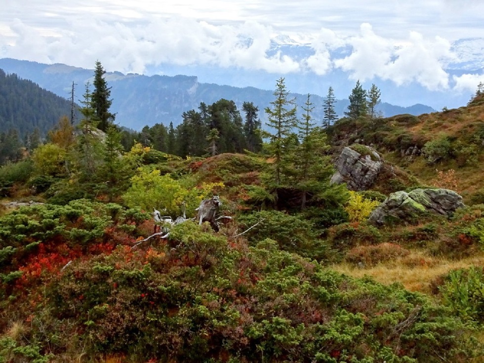 bild_s12