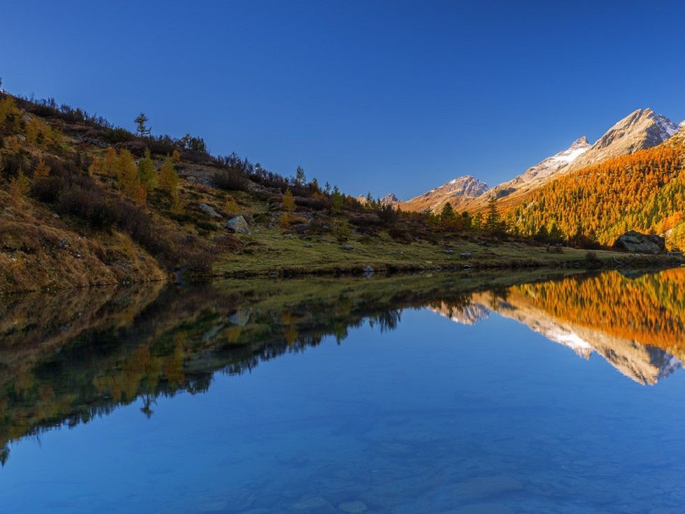 grundsee_vs