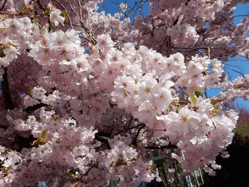 blog_up