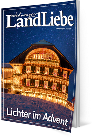 Cover_07_17_3d