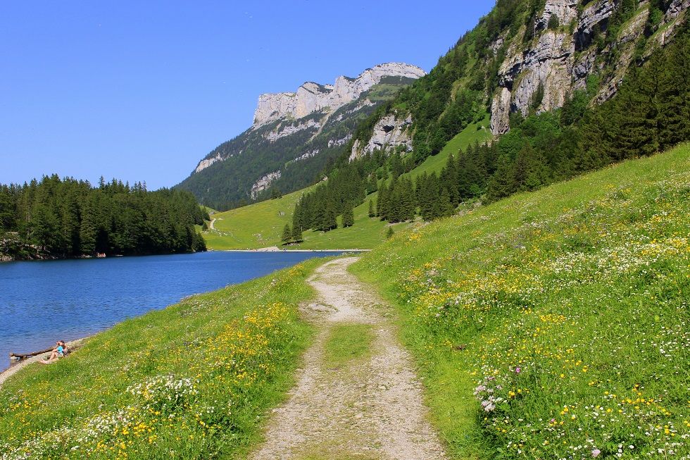 seealpsee_4