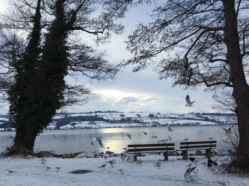 sempach_lu_s12