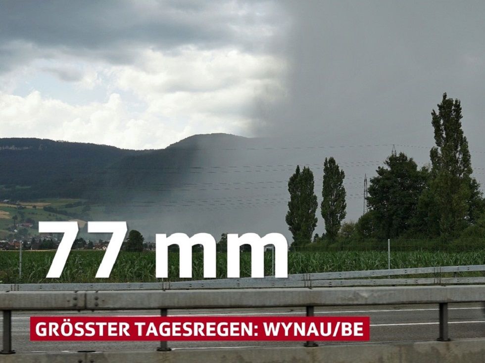 wynau