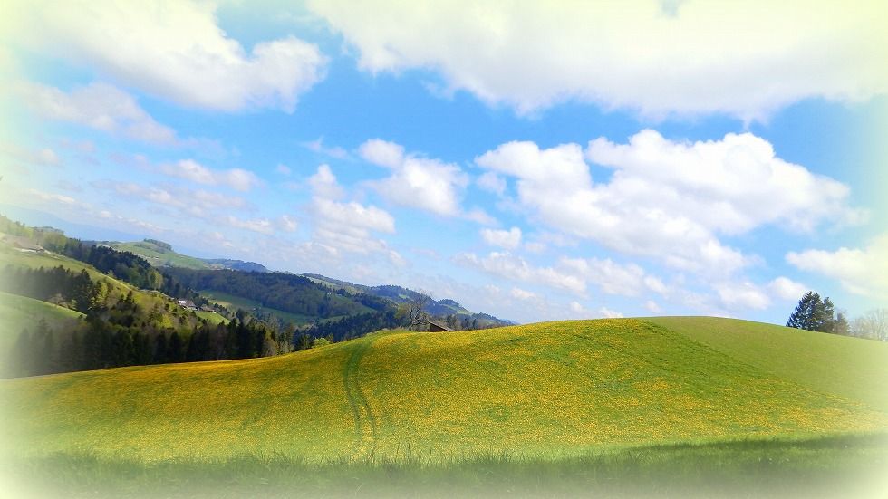 emmental_1