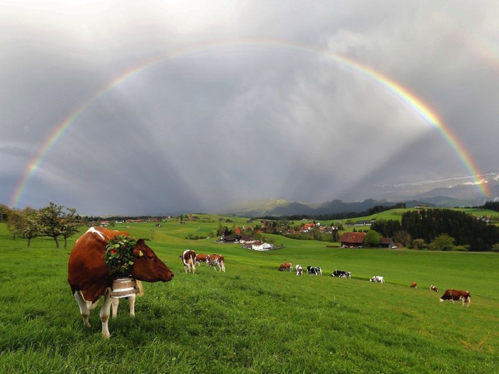 heimenschwand_be