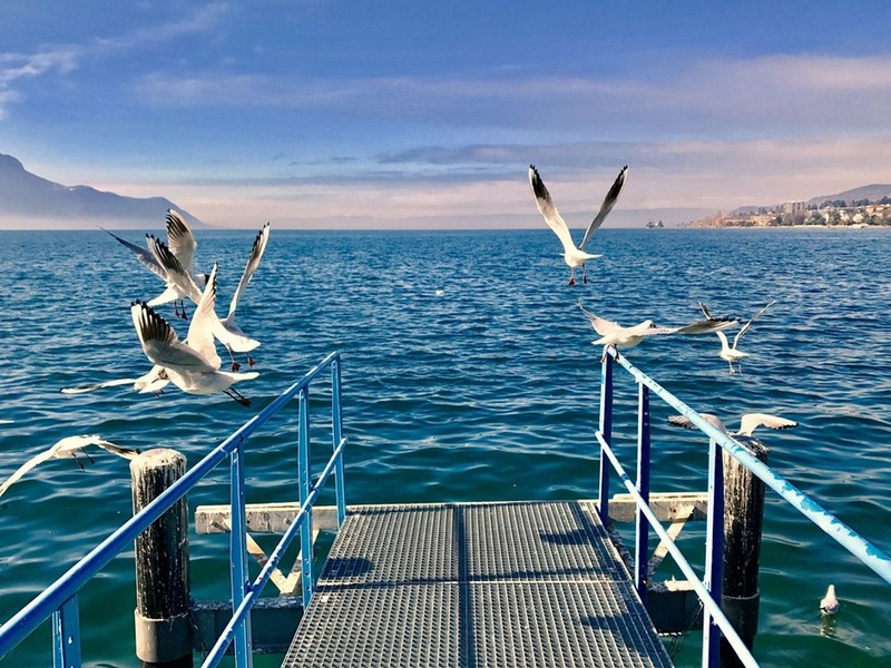 montreux_s12