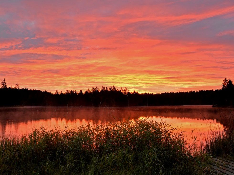etang_de_la_gruere_ju_BE
