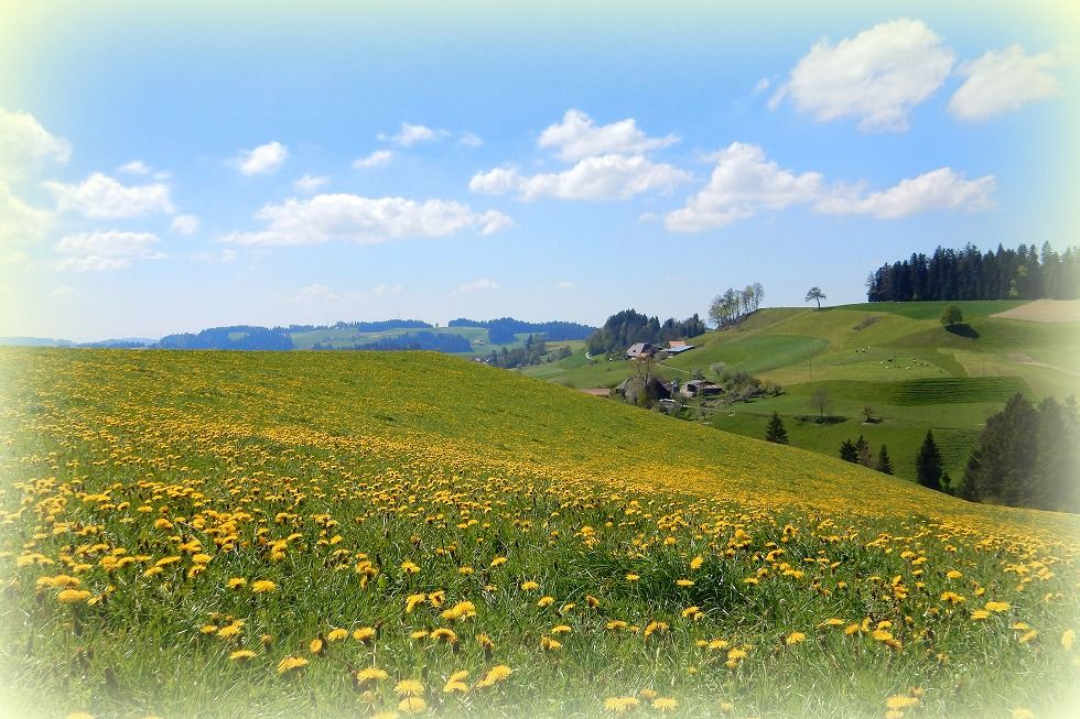 emmental_3