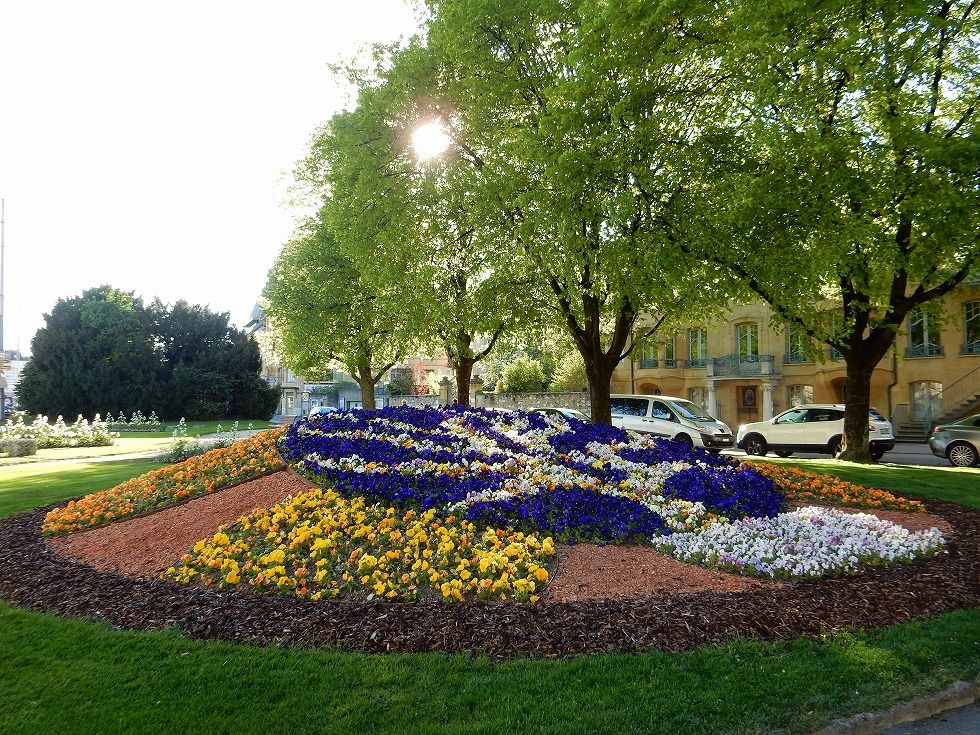 pansy_NE_3