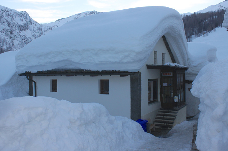 Coop_Bosco_080314_1