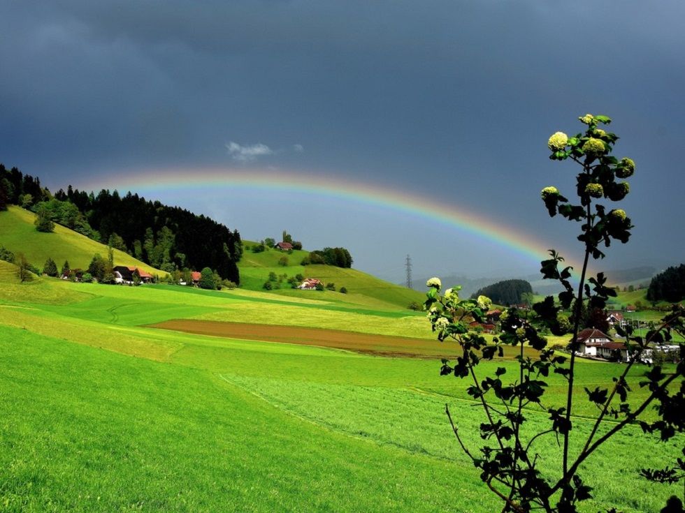 zaeziwil_be_s12