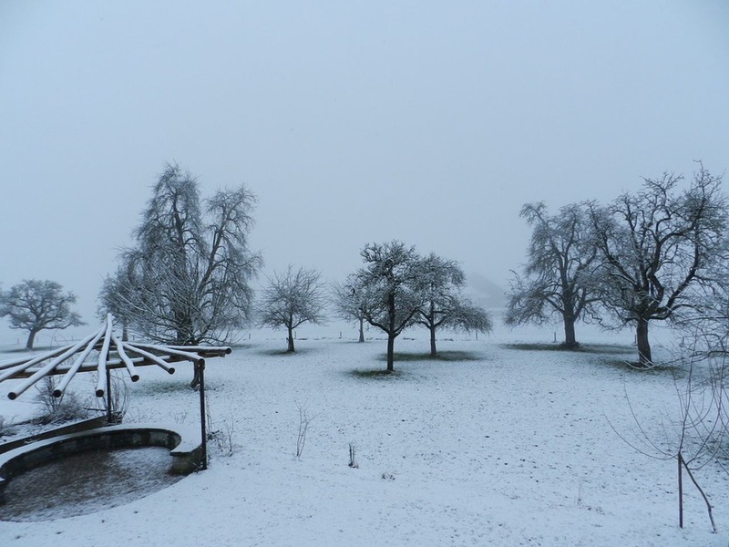 17_januar_s12