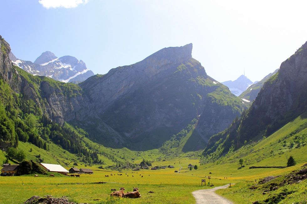 seealpsee_1