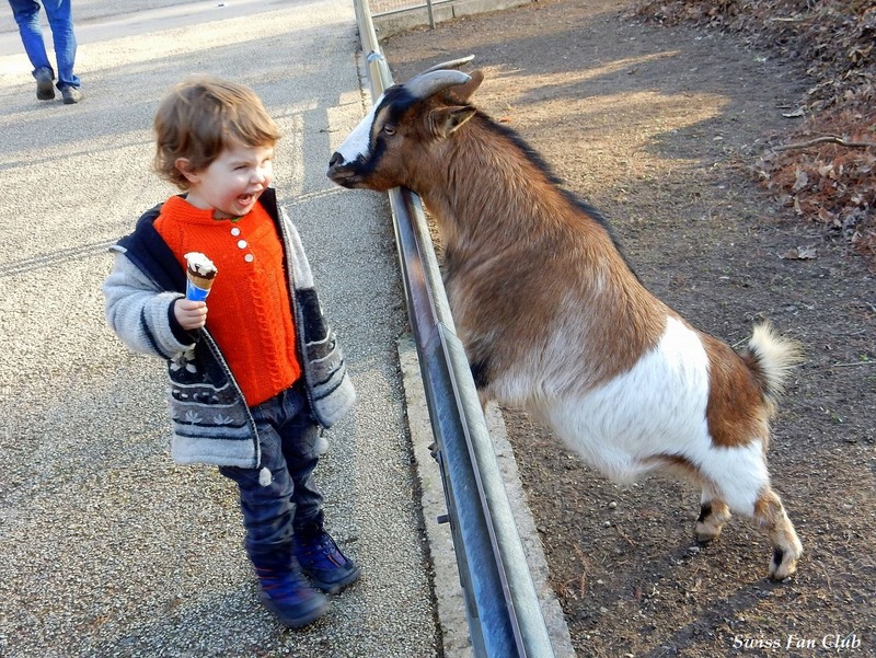 tierpark_1