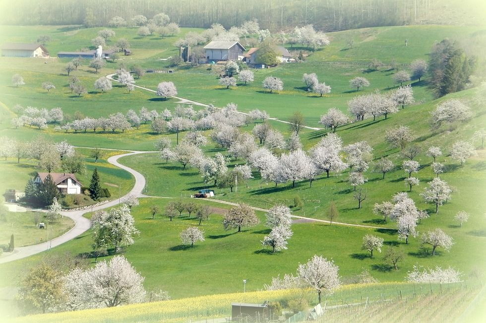 Wintersingen_BL_2