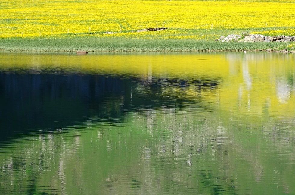 seealpsee_2