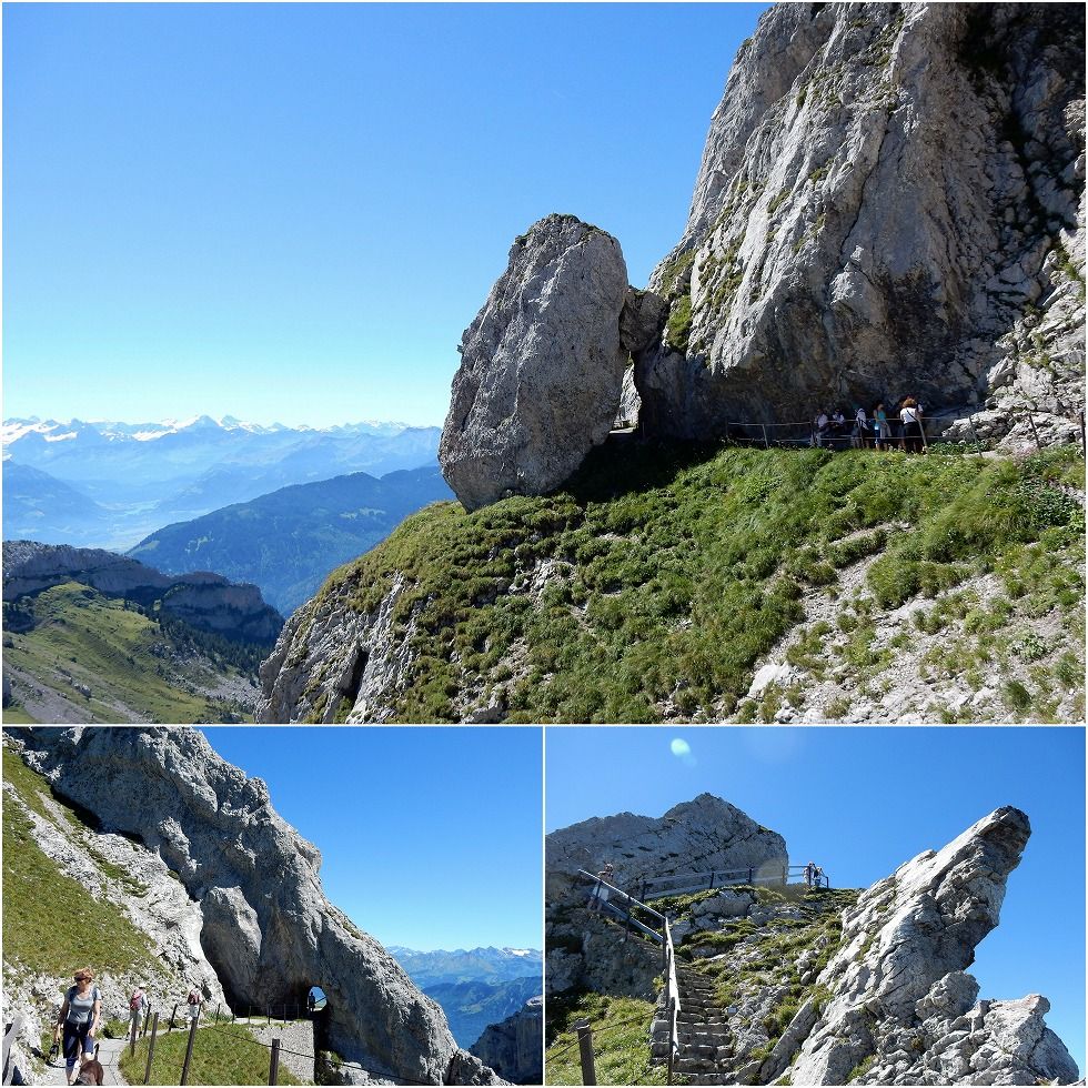 to_Tomlishorn