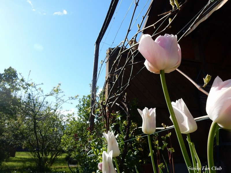 DSCN1115