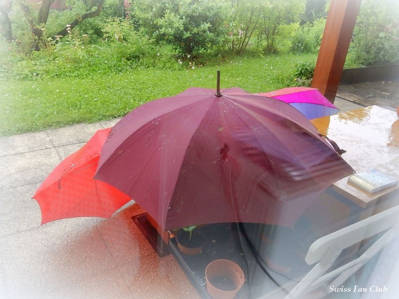 DSCN3497-s