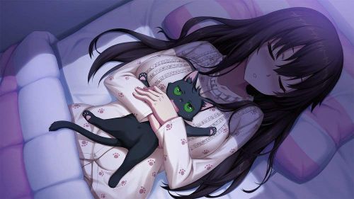 ノラと皇女と野良猫ハート (3)