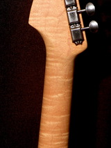 P9088081