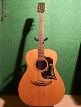 東海楽器ハミングバード 96F : 中古楽器屋への道(2) グラス 東海楽器ハミングバード 96F : 中古楽器屋への道(2) グラス