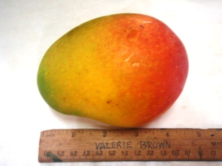 head mango