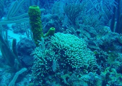 P1010511