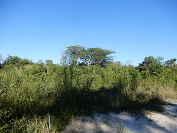 DSCN1958