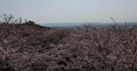 mitoyama