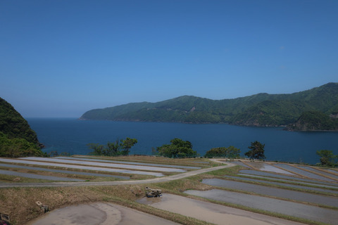 tanada