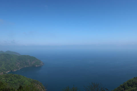 敦賀湾