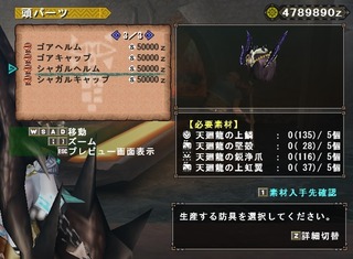 シャガル装備