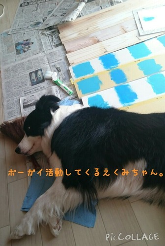 5d7472f0.jpg