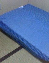 15691e50.jpg