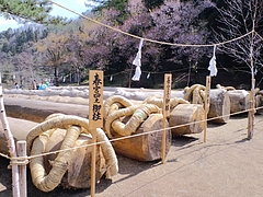 下社御柱