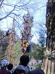 CA3C00540002