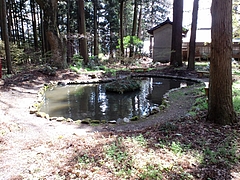 都都古別神社(八槻)