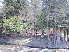 CA3C00480003