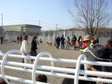 ���륯�륭�塼�Ǝ����������