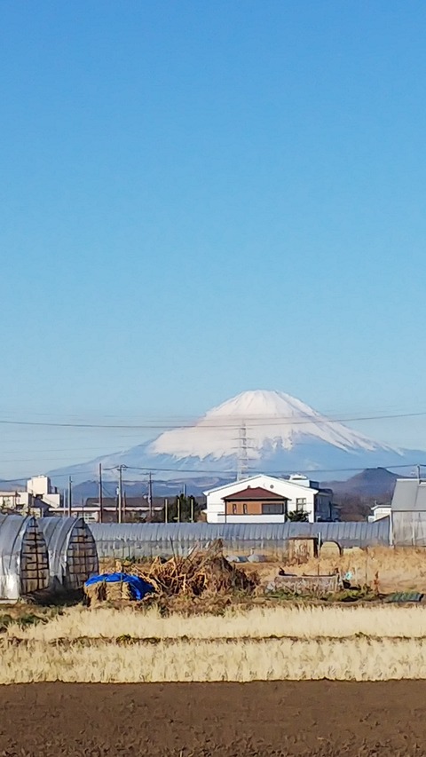 0119 富士山